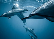 星空体育app官方网站——开启全新体育体验